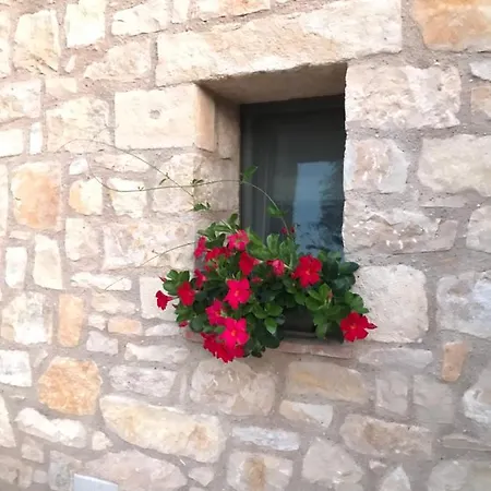 Luxury San Zeno * Colognola ai Colli